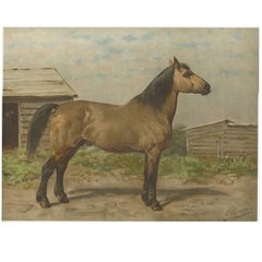 Impression ancienne du cheval canadien par O. Eerelman, 1898