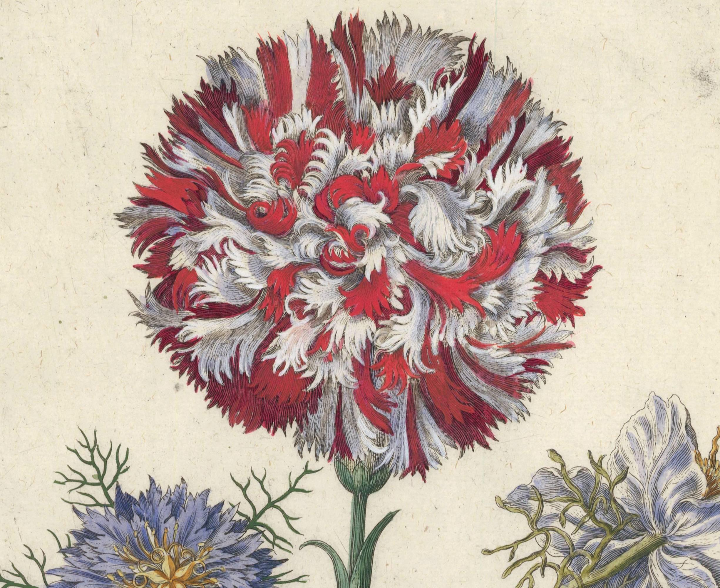 Snapdragons and Carnation by Michael Bernhard Valentini, 1719 For Sale 2
