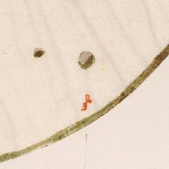 Pesce e corallo Gouache di Ena Rottenberg