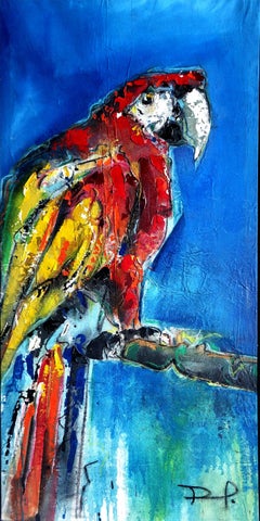 Bolivian Macaw