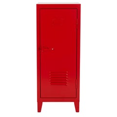 B1 Low Locker in Essential Colors by Xavier Pauchard and Tolix