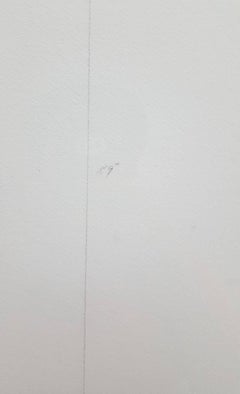 Untitled Curve (Study for a Painting or Sculpture)