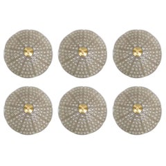Orrefors of Sweden Crystal Flush Mount Ceiling Light