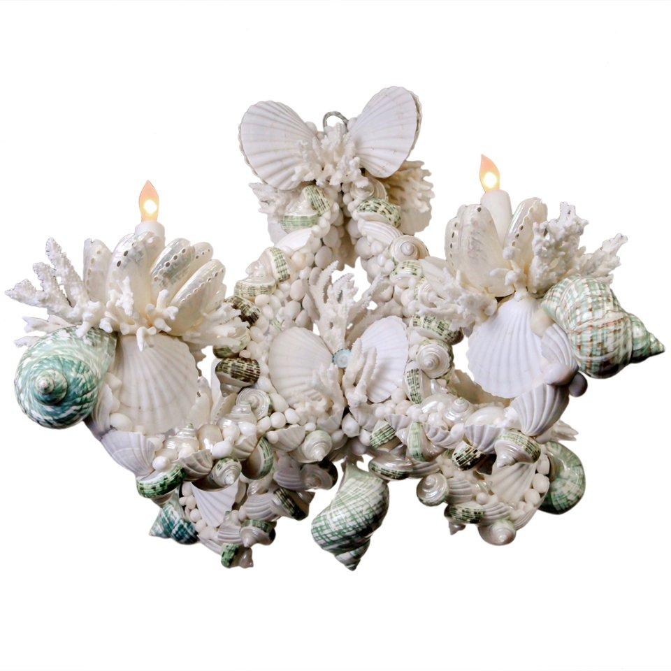 Shell Chandelier