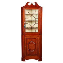 19th Century Edwardian Mahogany Corner Cabinet 11