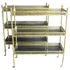 Pair of Steel and Gilt Metal Etageres