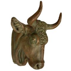 French Butcher Shop Steer Head Display