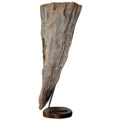 Large Organic Cypress Knee Sculptural Expression on Iron Mount