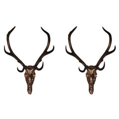  1970s Sconces Shaped like a Deer's Skull with Antlers By Jacques Duval-Brasseur