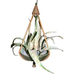 Botanical Light Fixture 7