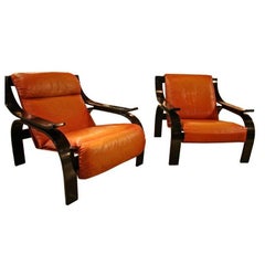 Pair of Marco Zanuso Armchairs in Leather for Arflex