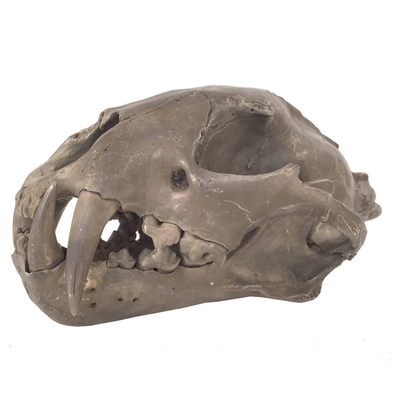 Leopard Skull in Acid Silver by Parts of Four For Sale