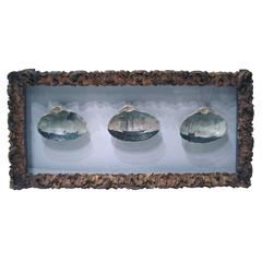Antique 3 19th Century Painted Clamshells in a Gilded Shadow Box