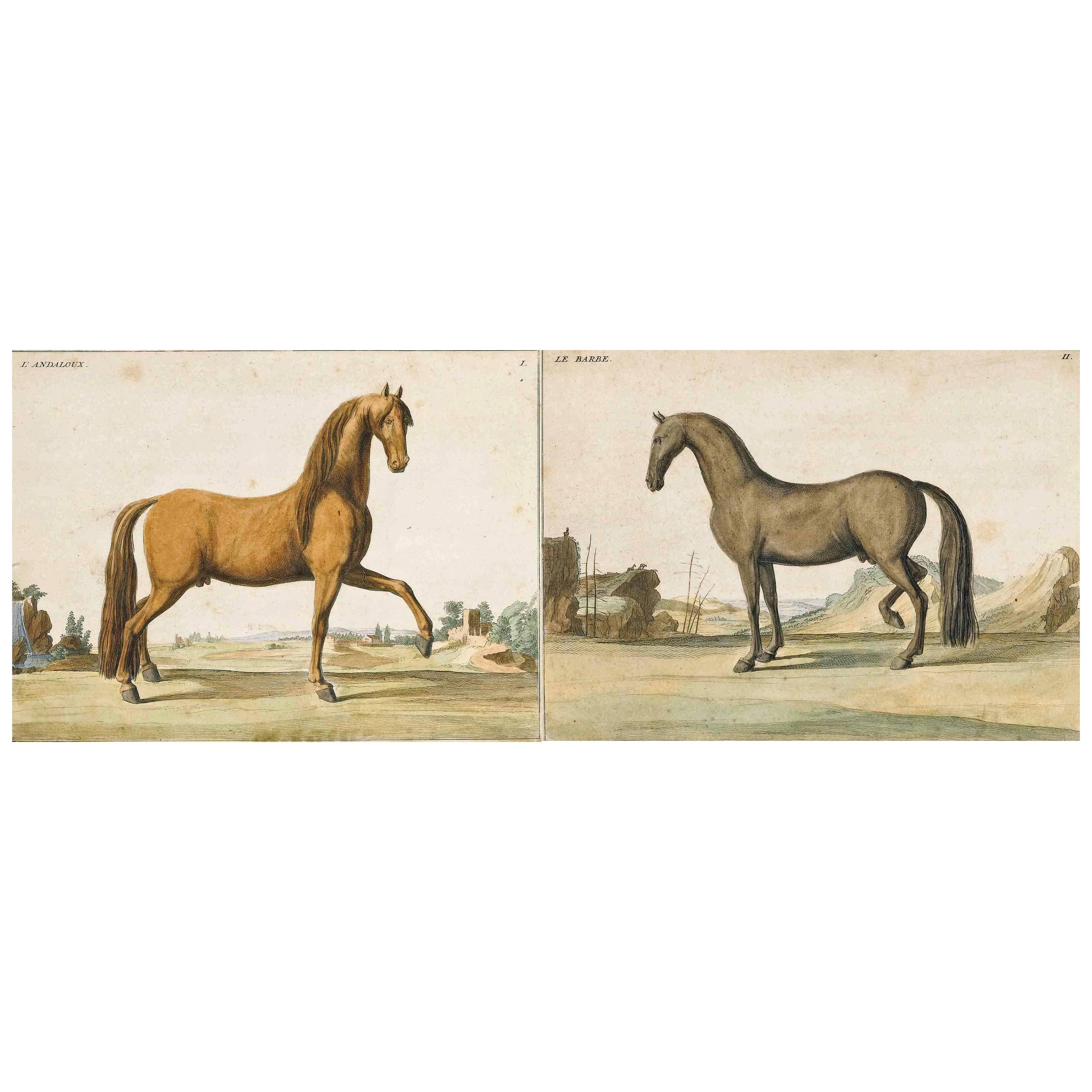 Each print is mounted in a cherrywood parcel-gilt frame, with a glazed reverse depicting the corresponding text sheet.

L'Andaloux, Le Cheval d'Espagne, Plate I; 
Le Barbe, Le Cheval Barbe, Plate II, 

These prints were originally part of an