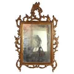 19th Century Spanish Rococo Style Giltwood Mirror