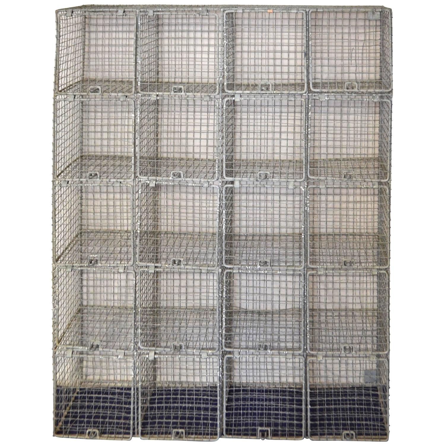 Storage Gym Swim Locker Large with Twenty Steel Wire Grid