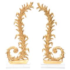 Pair of 19th Century Italian Giltwood Carvings on Lucite Bases 12