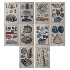 Complete Set of Ten Hand-Coloured Illustrations of Minerals by Joseph Buchoz 8