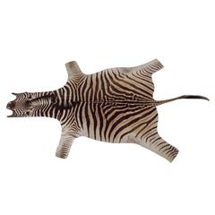 Zebra Hide Trophy Rug