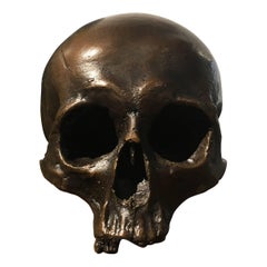 Cast Bronze Skull