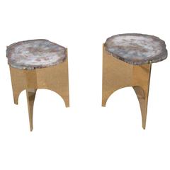 Petrified Wood and Mirror Polished Bronze Occasional Table