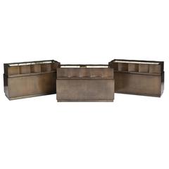Neoclassical Bronze Planter 9