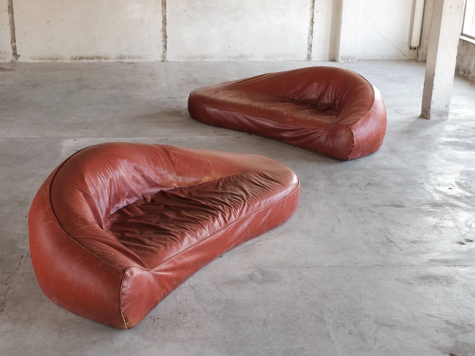 Set of sofa's, in leather, European, 1970s. 

Exceptional set of two organic shaped sofa's in cognac leather. The sofa consist of a seating with curved round back. All formed in one organic shape. The seating runs smoothly over into the back and