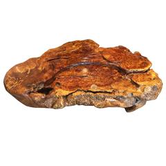 Unique Natural Organic Burl wood COFFEE TEA DISPLAY TABLE Best in class 11