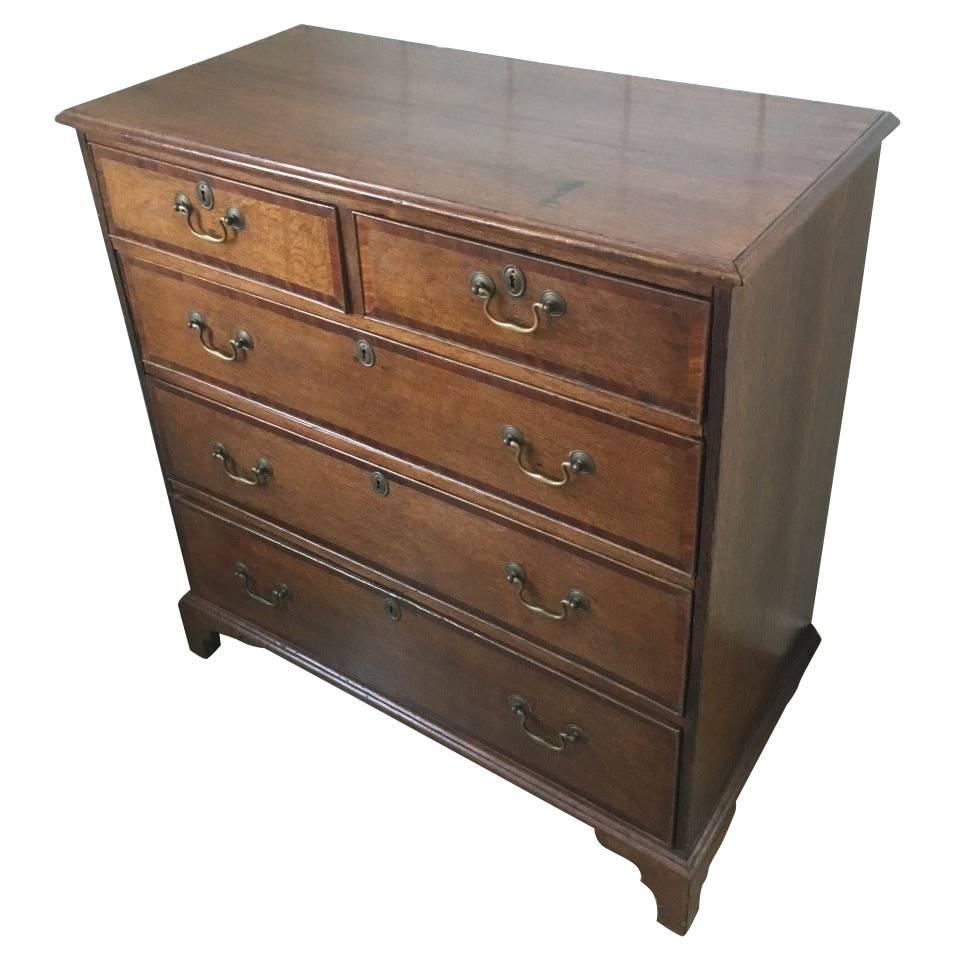 English George III Tiger Oak Chest with Mahogany Banding