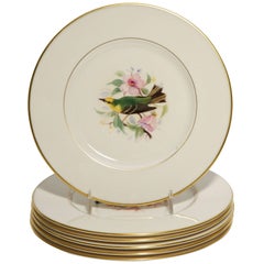 Vintage Eight Dessert Plates Hand-Painted, Artist Signed, Delightful Songbirds