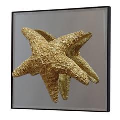 24 Starfish and Mirror Wall Decorations
