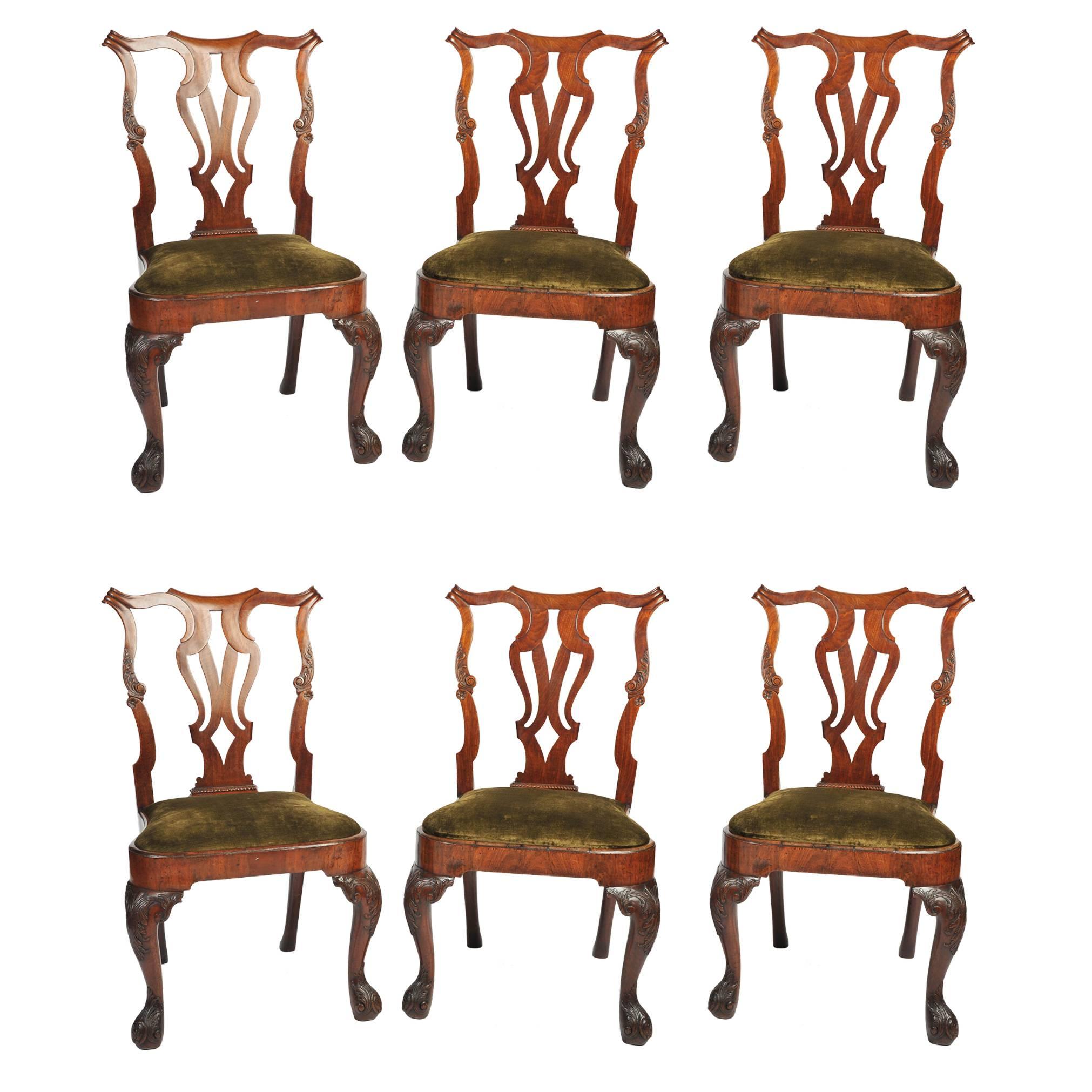Satz von sechs Stühlen aus rotem Nussbaumholz, George I. im Angebot