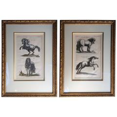 Pair of 17th Century Equestrian Prints