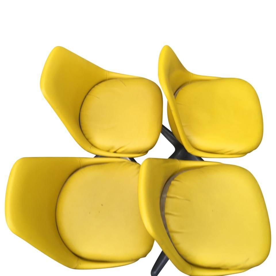 Four Maurice Burke for Arkana Yellow Dining Chairs (Moderne der Mitte des Jahrhunderts)