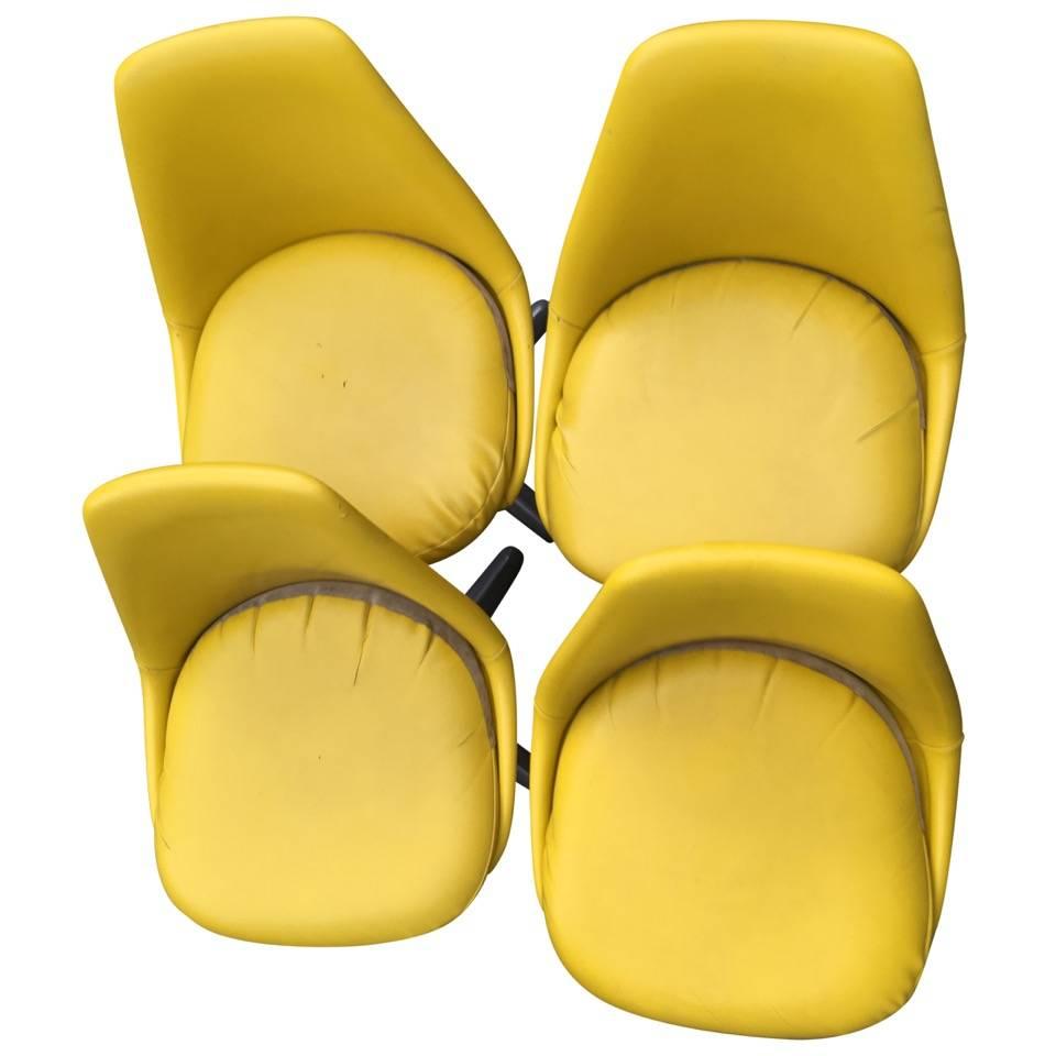 Four Maurice Burke for Arkana Yellow Dining Chairs (amerikanisch)