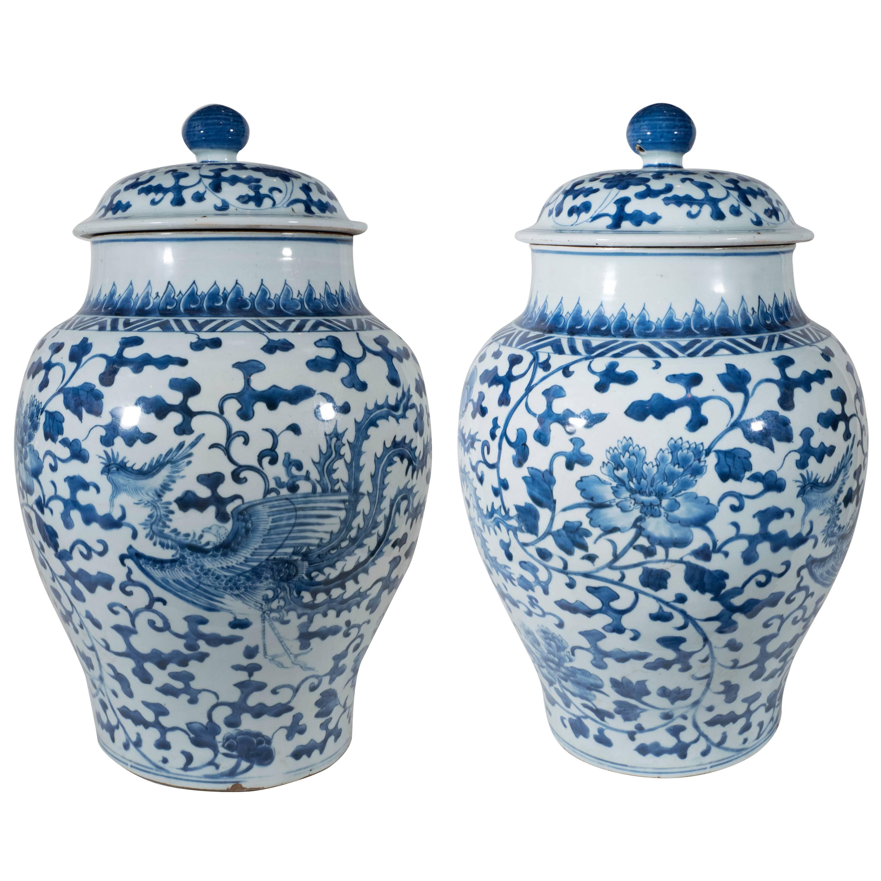 Antique Blue and White Chinese Porcelain Ginger Jars