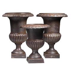 Early 20th Century Cast Iron Urns