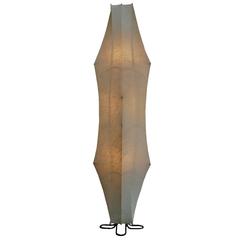 Fantasma Floor Lamp by Afra & Tobia Scarpa, 1961 4