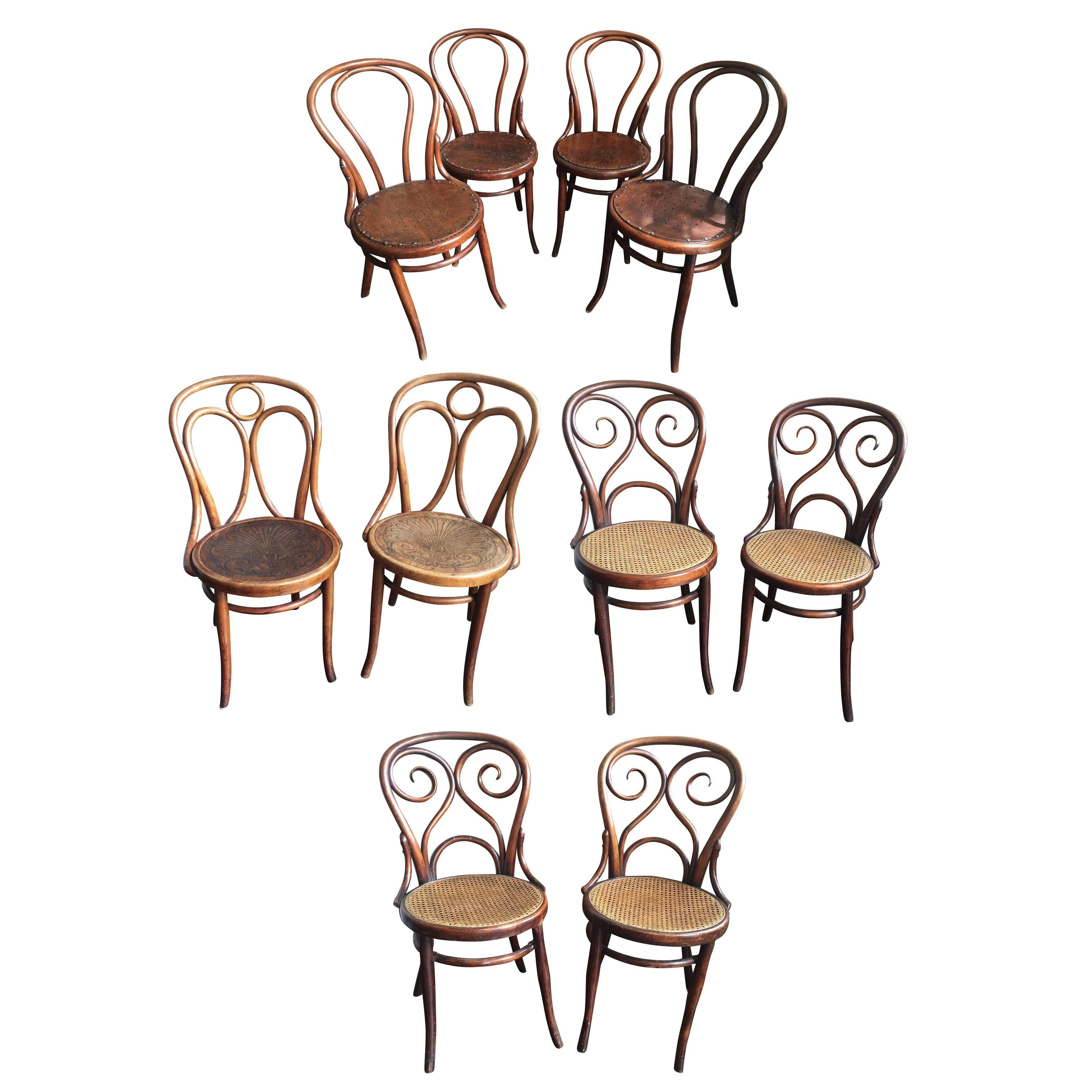Set of Ten Turn-of-the-Century Bentwood Dining Chairs by Thonet