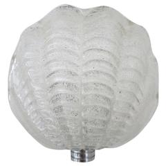 Italian Murano Shell Glass Sconces by Mazzega 7