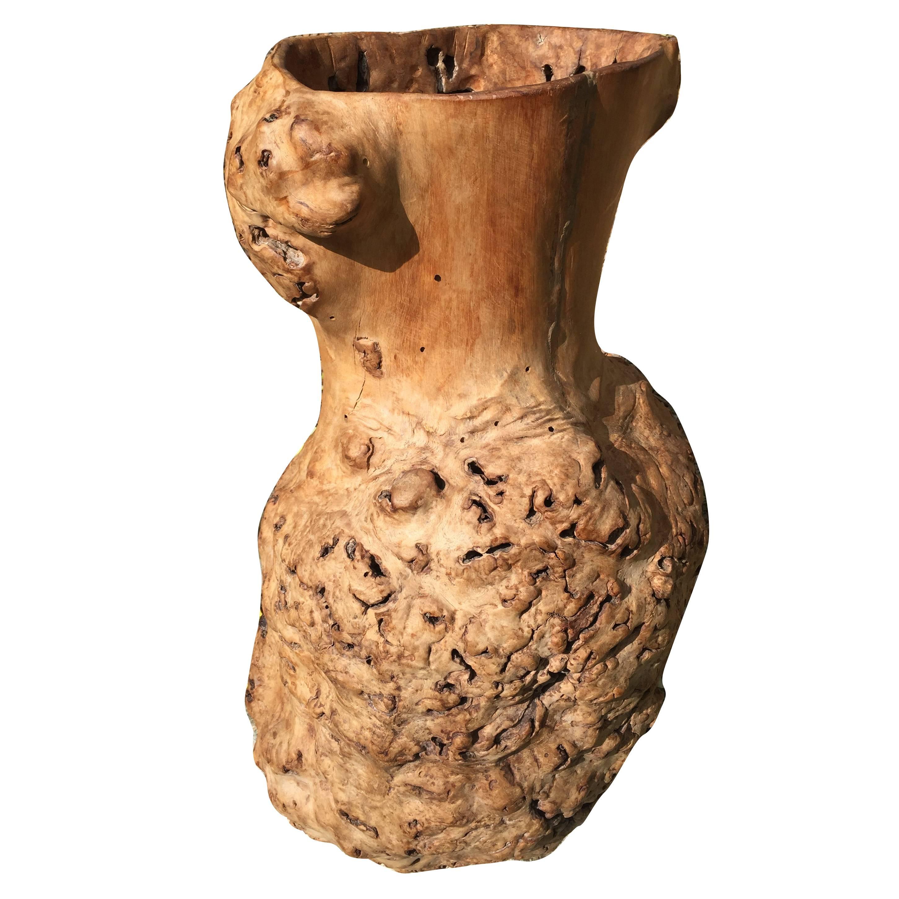 Big Beautiful Old Japanese Natural Organic Root Wood Burl  Vase Sculpture