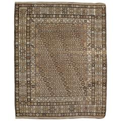 Antique Caucasian Shirvan Rug 10