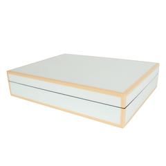 Modernist Robin's Egg Blue and Beige Hand Lacquered Wood Box