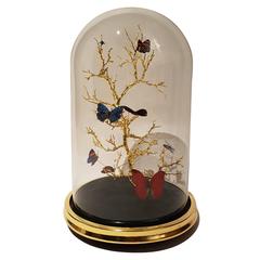 Gilded Butterfly Dome