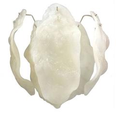Italian Murano Glass Leaves Sconces 10