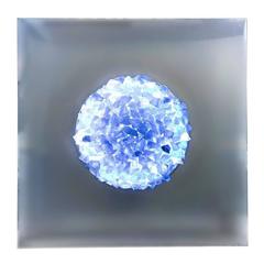 Angelo Brotto Decorative Objects