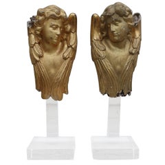 19th Century Gold Gilt Cherubs on Lucite Bases, Pair