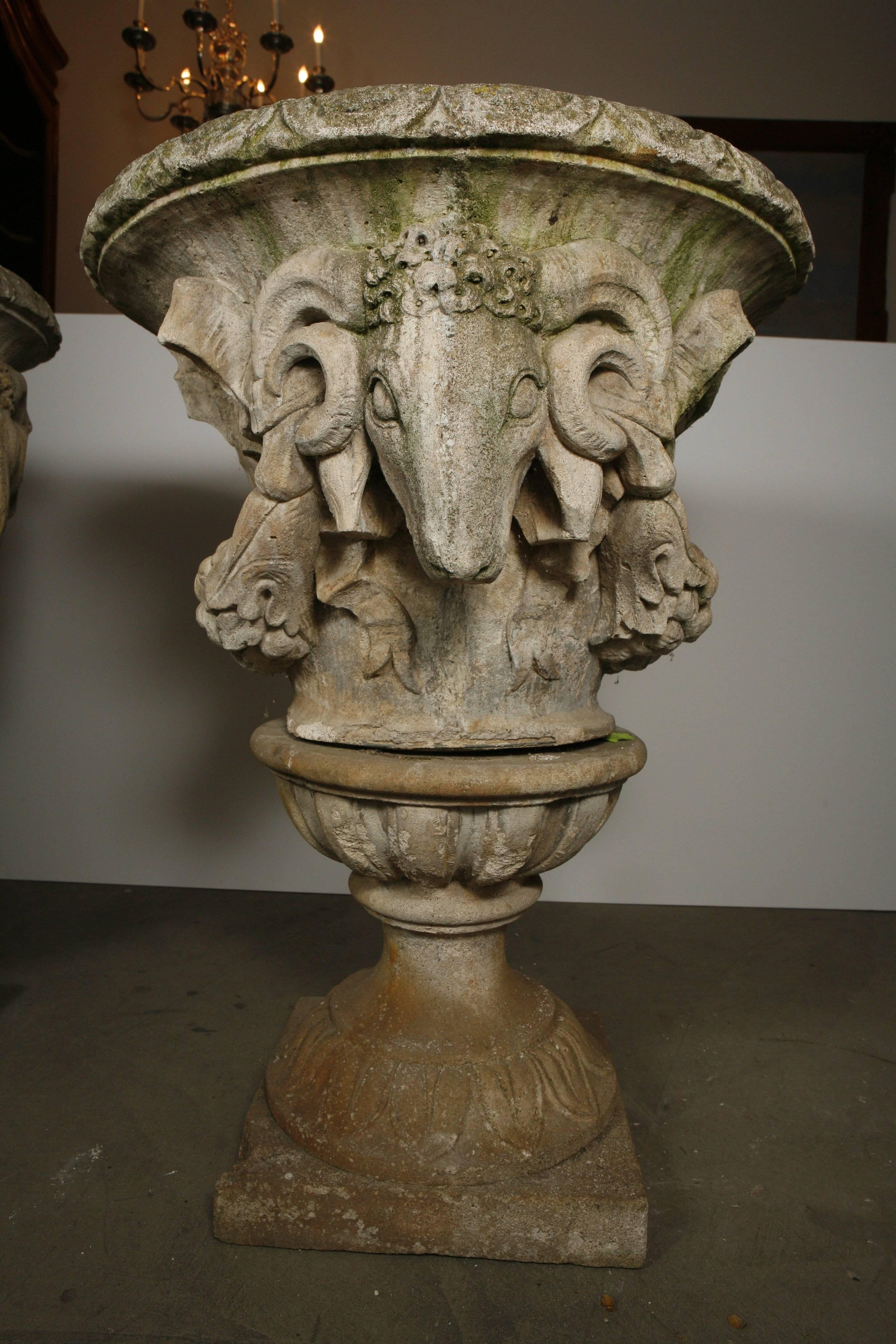 Other Pair of White Terracotta Urns with Lamb's Head Decoration For Sale