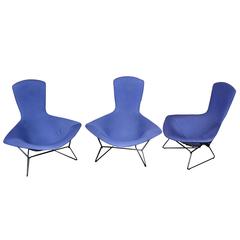 3 Harry Bertoia for Knoll Bird Chairs in Periwinkle Blue