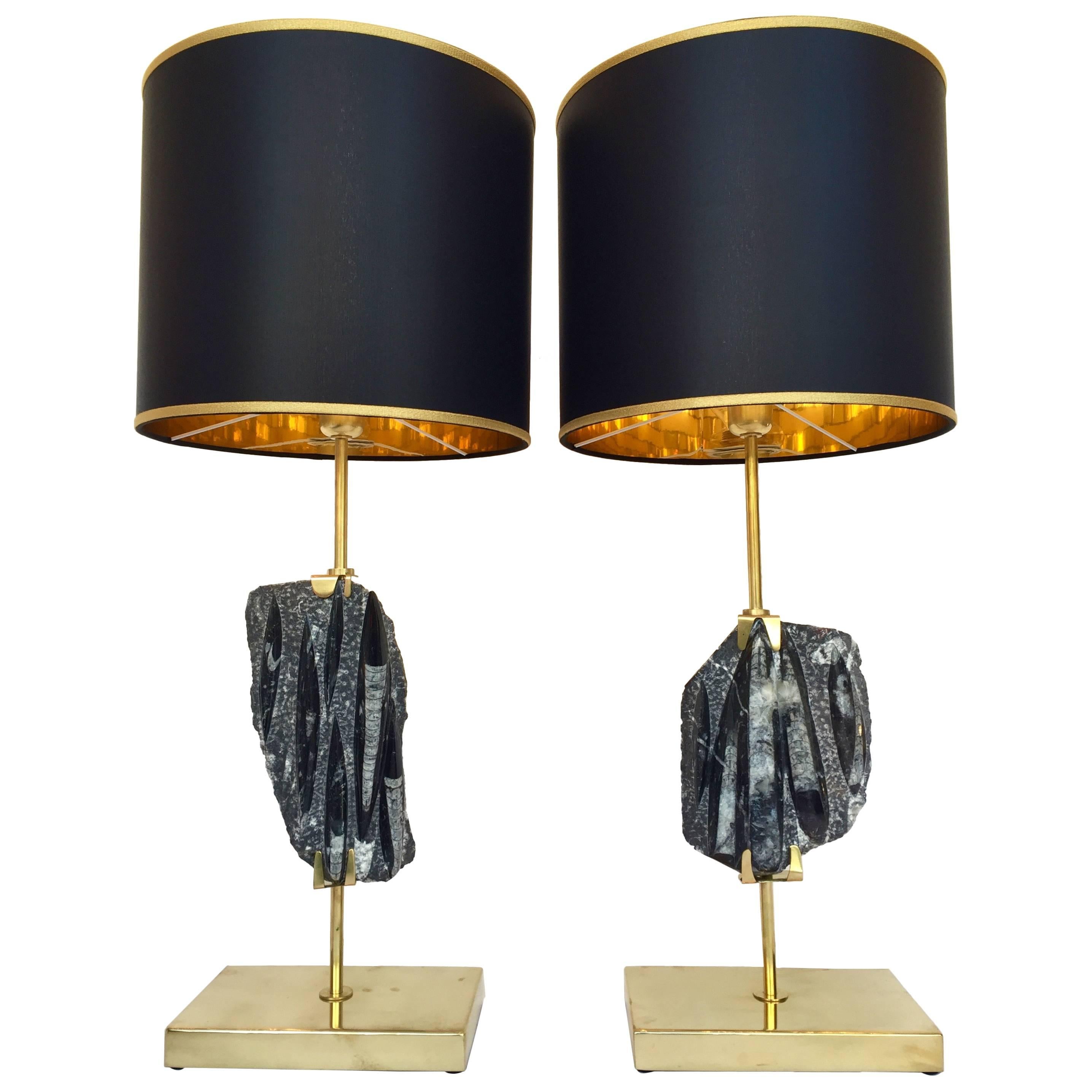 Pair of Lamps Orthoceras Fossil and Brass. Contemporary. Italy. 2016